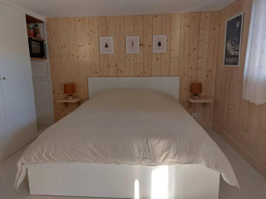 Studio Chez Suzanne Saint-Jorioz Kültér fotó