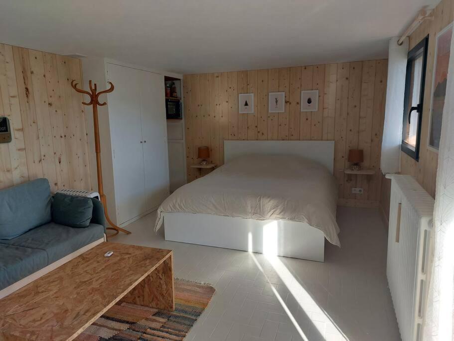 Studio Chez Suzanne Saint-Jorioz Kültér fotó